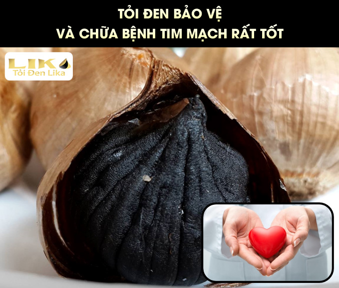 Công dụng của tỏi đen làm giảm cholesterol và bảo vệ tim mạch