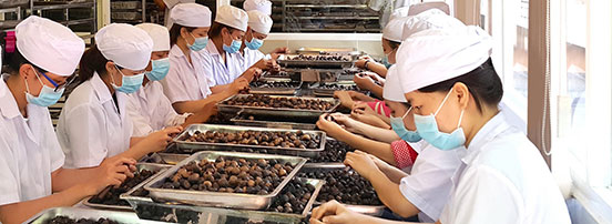 Lựa chọn tỏi đen xuất khẩu