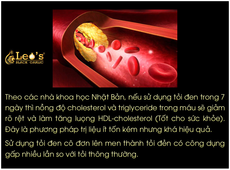 Tỏi đen có tác dụng gì? Công dụng của tỏi đen trong điều trị bệnh 6 Tác dụng tỏi đen leo giảm cholesterol