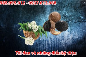 Tỏi Đen Cô Đơn Và Những Điều Kỳ Diệu