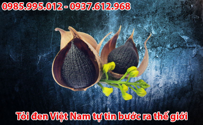 Tỏi Đen Việt Nam Ra Thế Giới