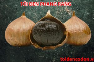 Tỏi Đen Phan Rang