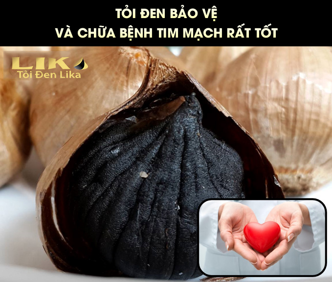 Tỏi đen chữa bệnh gì? Công dụng của tỏi đen đối với sức khoẻ ra sao? 5 Tỏi đen bảo vệ và chữa bệnh tim mạch rất tốt