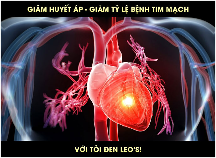 Tỏi đen Leo hộp 1kg 4 Tỏi đen có tác dụng gì