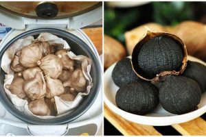 Tỏi đen lên men bằng nồi cơm điện