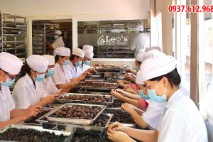 Công dụng của tỏi đen leo
