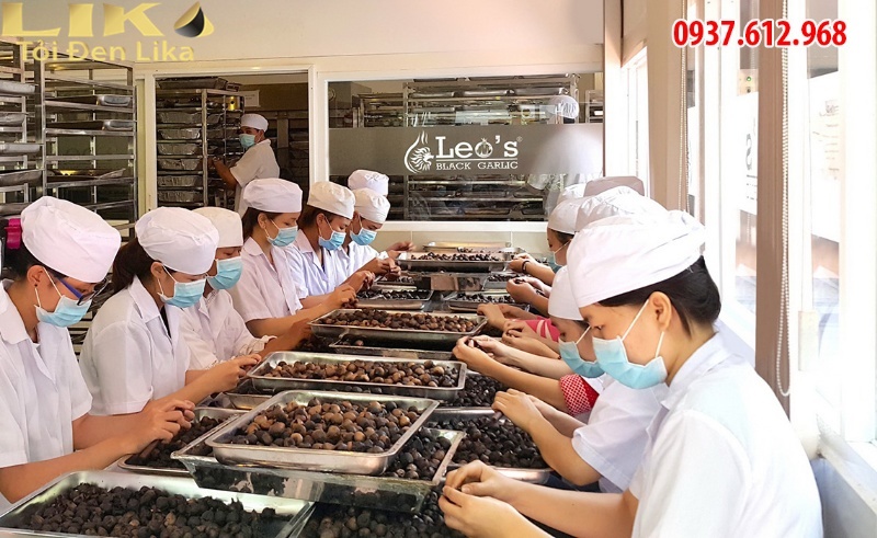 Công ty sản xuất tỏi đen Xuất Khẩu Mỹ 2 Giá tỏi đen cô đơn giá bao nhiêu