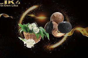 Tỏi đen cô đơn giá bao nhiêu