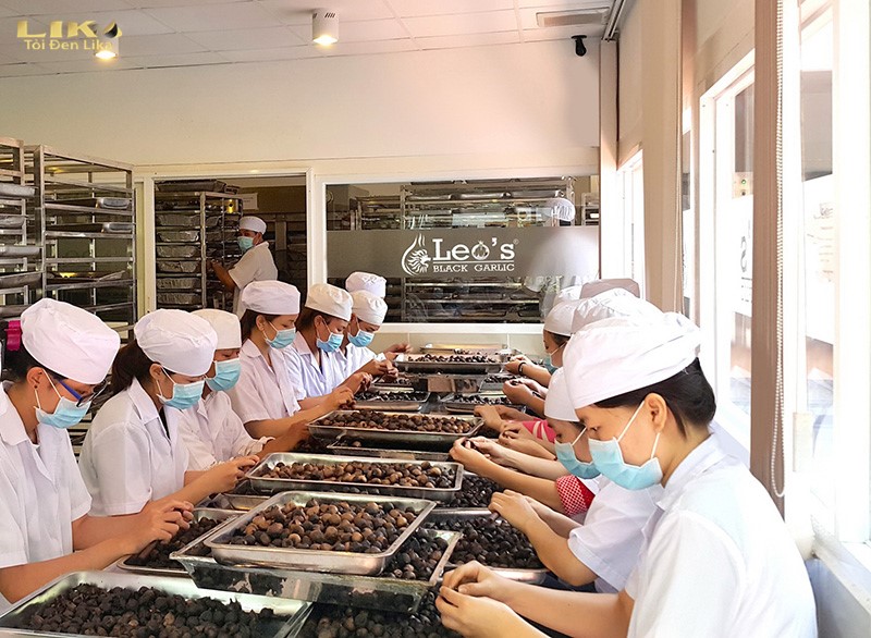 Tỏi đen Leo Kim cương thế kỷ 21