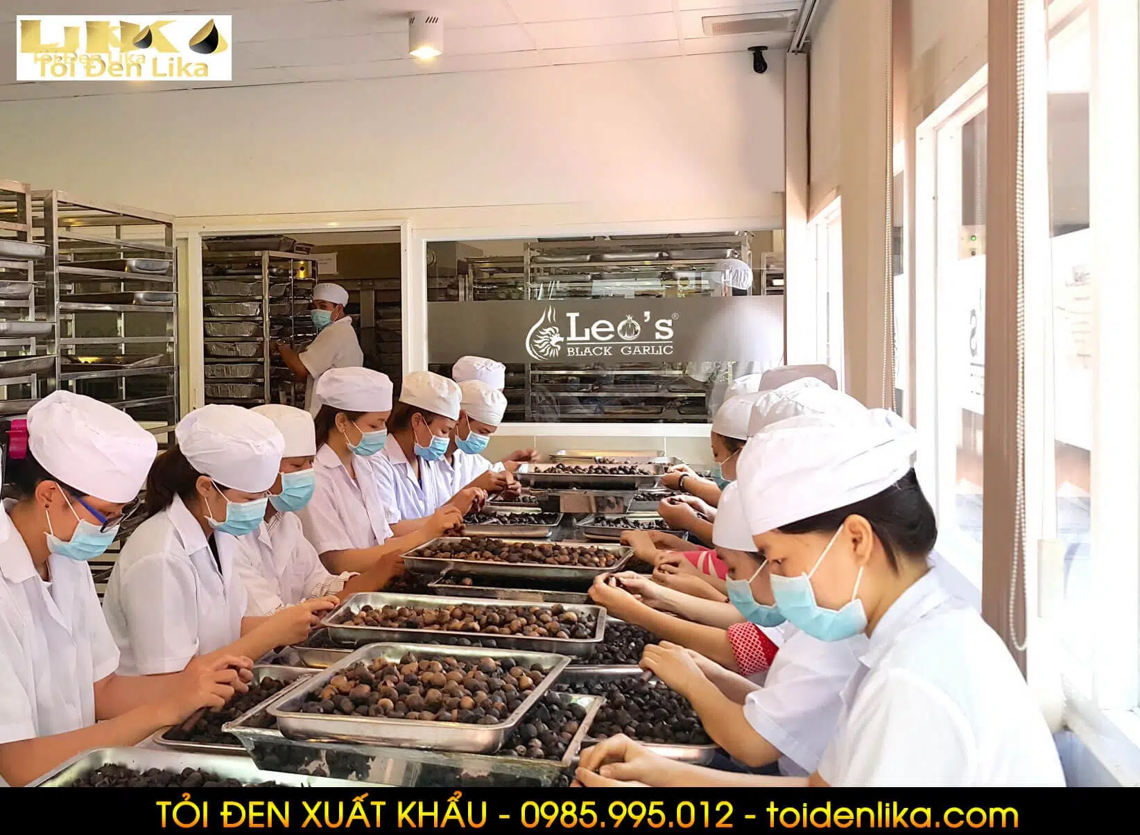 Tỏi đen kim cương đen 4 Chỗ uy tín để mua tỏi đen ở TPHCM