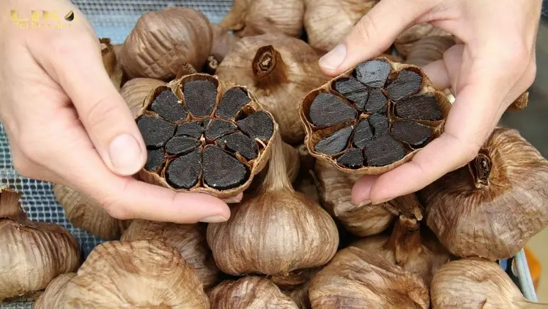 Cách làm tỏi đen bằng nồi đa năng tại nhà đơn giản dễ làm 9 Bảo quản tỏi đen đúng cách