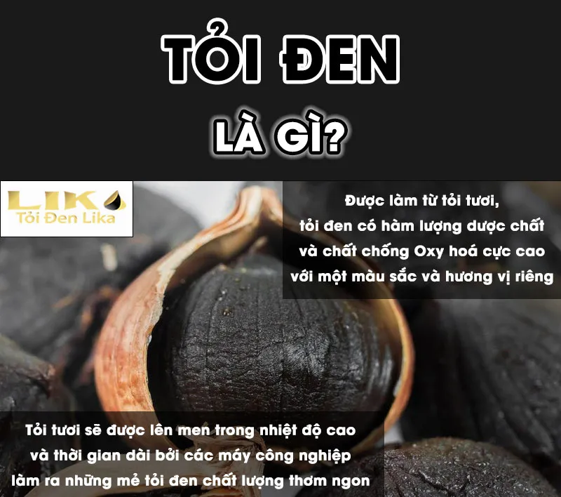 Tỏi đen là gì? Công dụng của tỏi đen ra sao? 2 Định nghĩa tỏi đen là gì
