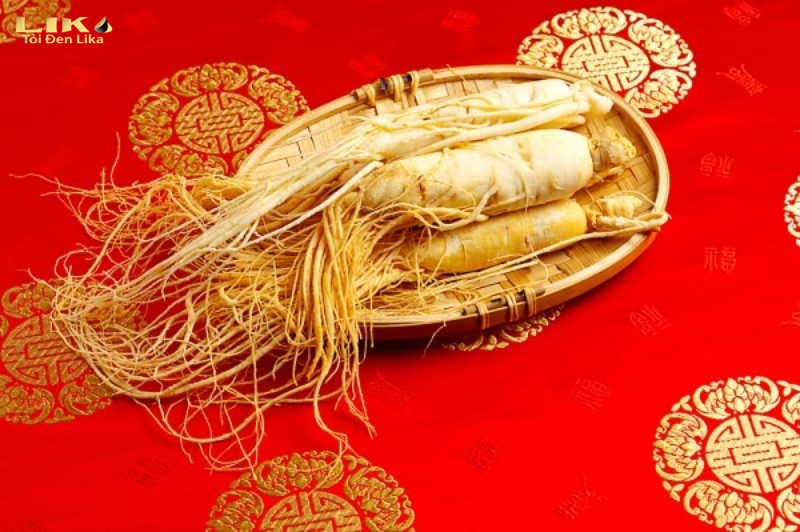 Top 8 món quà biếu Tết đẳng cấp nhất 6 Nhân sâm Hàn Quốc có nhiều công dụng tốt cho cơ thể