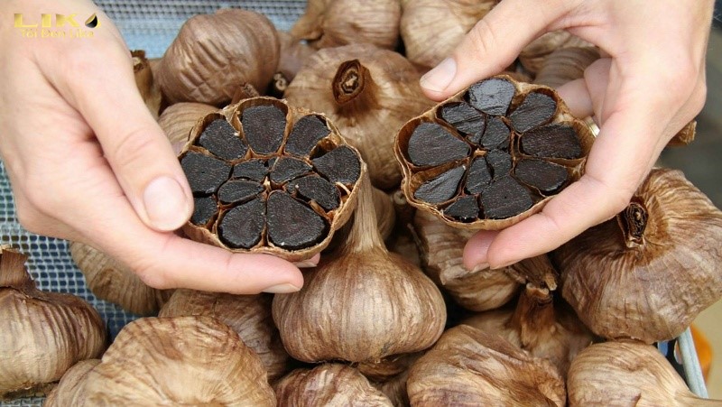 Ăn tỏi đen có tốt cho thận không? Ai không nên ăn tỏi đen? 5 Tỏi đen chỉ có tác dụng hỗ trợ bệnh suy thận chứ không thay thế thuốc chữa bệnh