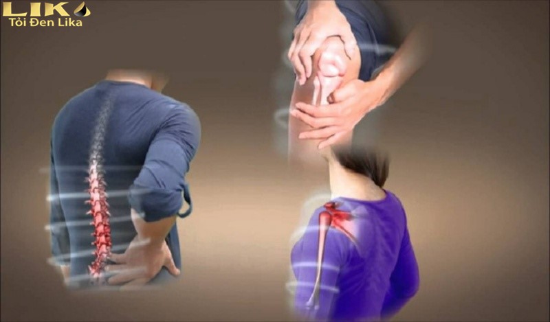 Tỏi đen ngâm rượu - một thần dược bảo vệ sức khỏe 3 Tỏi đen có công dụng hỗ trợ các bệnh liên quan đến xương khớp