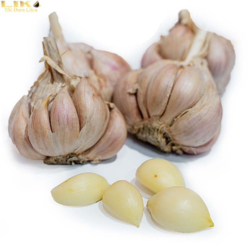 Các giống tỏi Việt Nam đa dạng như thế nào? 5 Tỏi Bắc Giang nức danh Việt Nam