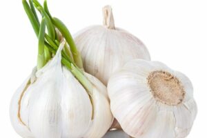 Tỏi mọc mầm có ăn được không?